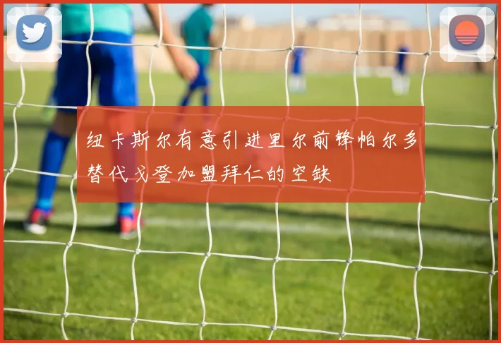 纽卡斯尔有意引进里尔前锋帕尔多替代戈登加盟拜仁的空缺
