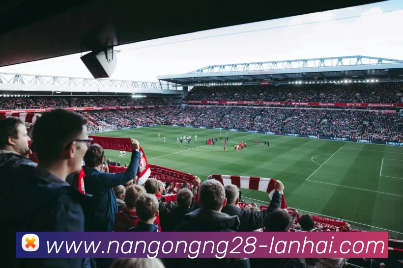 南宫NG28品牌故事